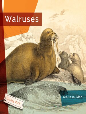 cover image of Walruses
